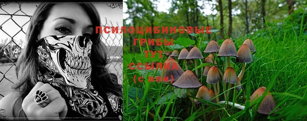МДМА Богданович