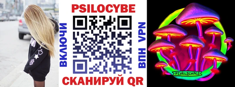 hydra tor  Дятьково  Псилоцибиновые грибы Psilocybe 